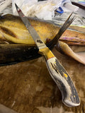 Elk horn handle fillet knife